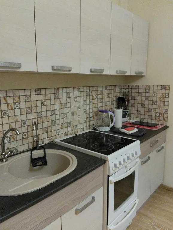 Квартира Уютная однокомнатная квартира рядом с НИИ Петрова — Песочный