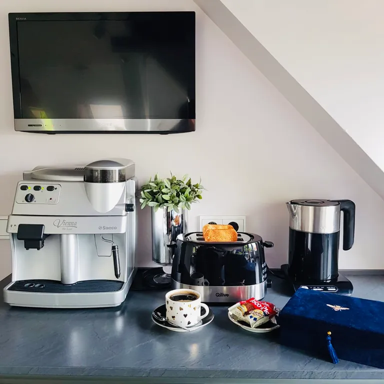 Дизайнерская квартира с видом на Верхнее озеро, камин, зона барбекю