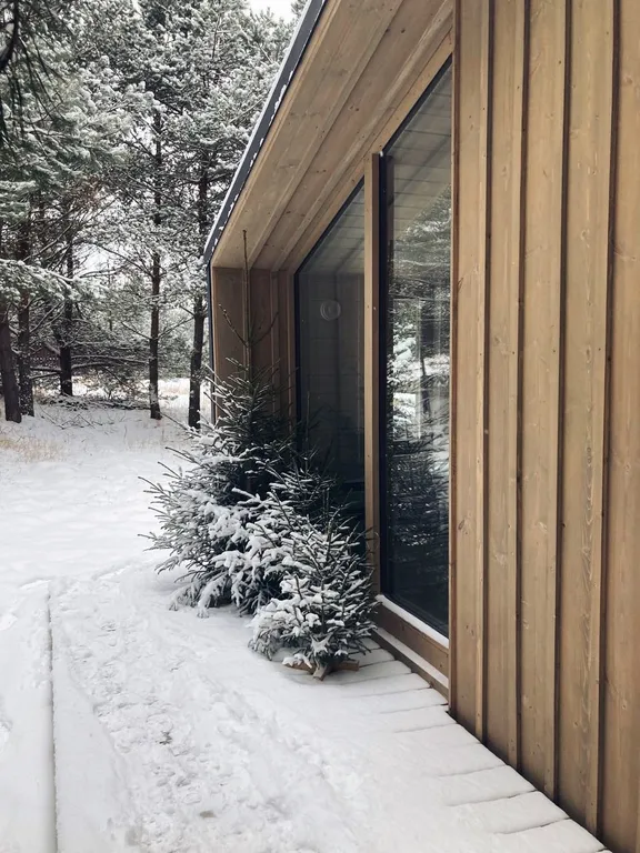 Коттедж Дубль дома с панорамными окнами на сосны — Семеновское