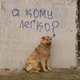 Алмаз