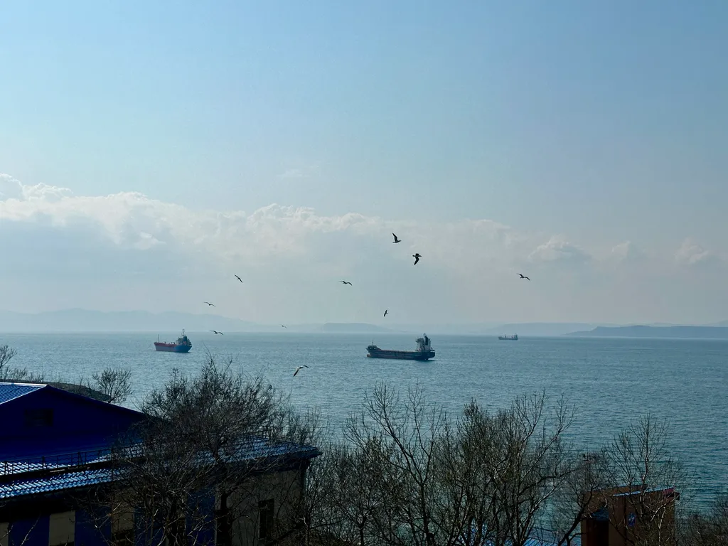Квартира Квартира с видом на море — Владивосток