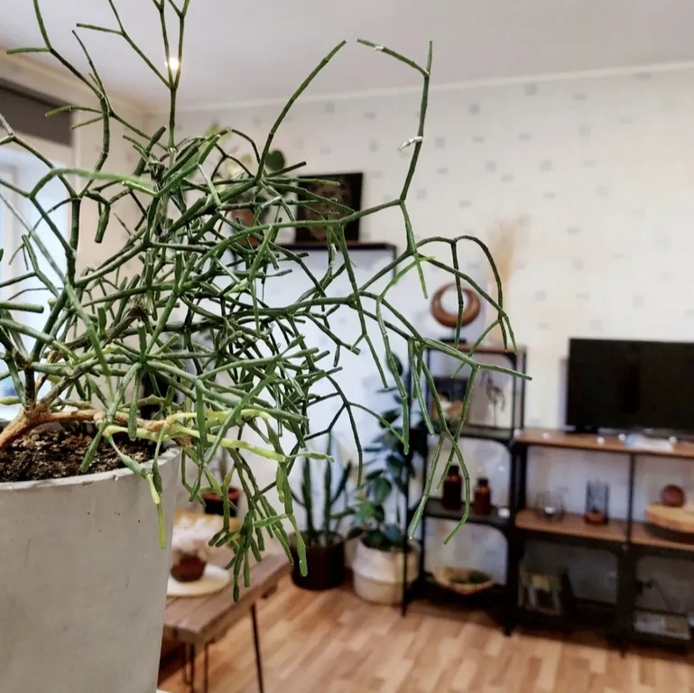 Апартаменты у библиотеки А.Аалто, Красной площади и Центрального парка