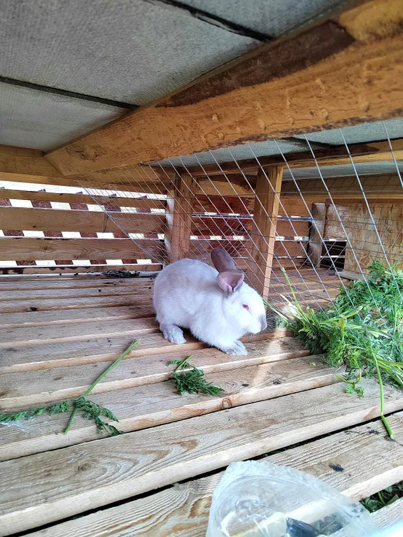 Загородный дом со своей территорией и баней