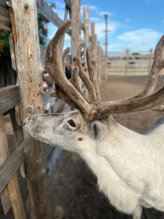 Квартира на краю земли