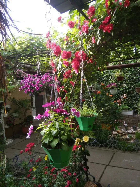 Комната в частном дворе