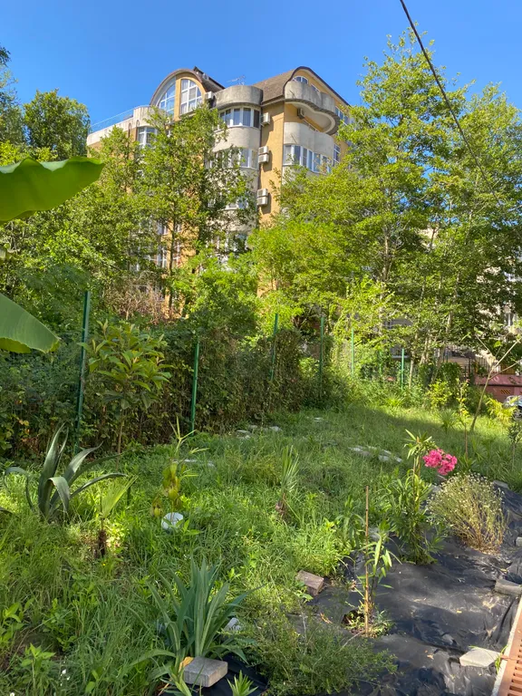 Квартира Уютная квартира в Центральном районе Сочи на первой линии от моря — Сочи