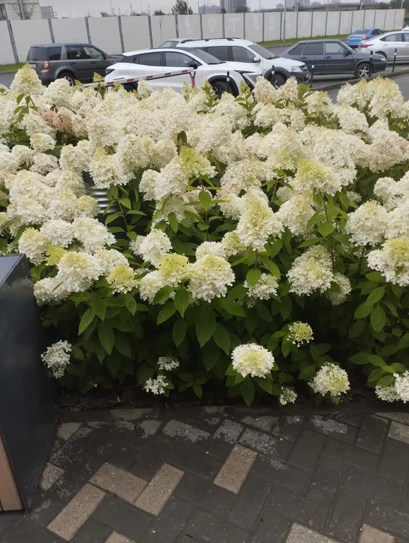 Уютная квартира в микрорайоне Европейский