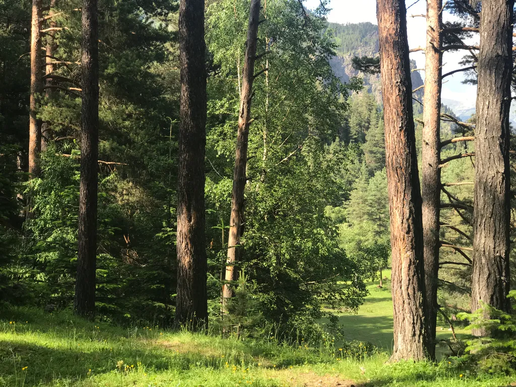 Коттедж Гостевой дом с видом на горы — Архыз