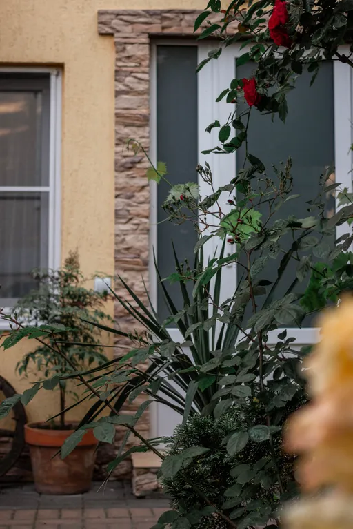 Квартира 2-комнатные апартаменты в центре — Геленджик