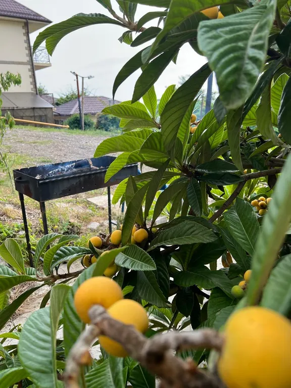 Апартаменты с видом на море в центре