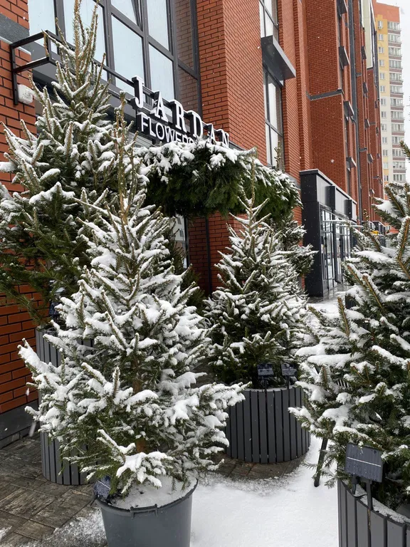 Уютная, новая студия в стиле прованс в центре Бреста