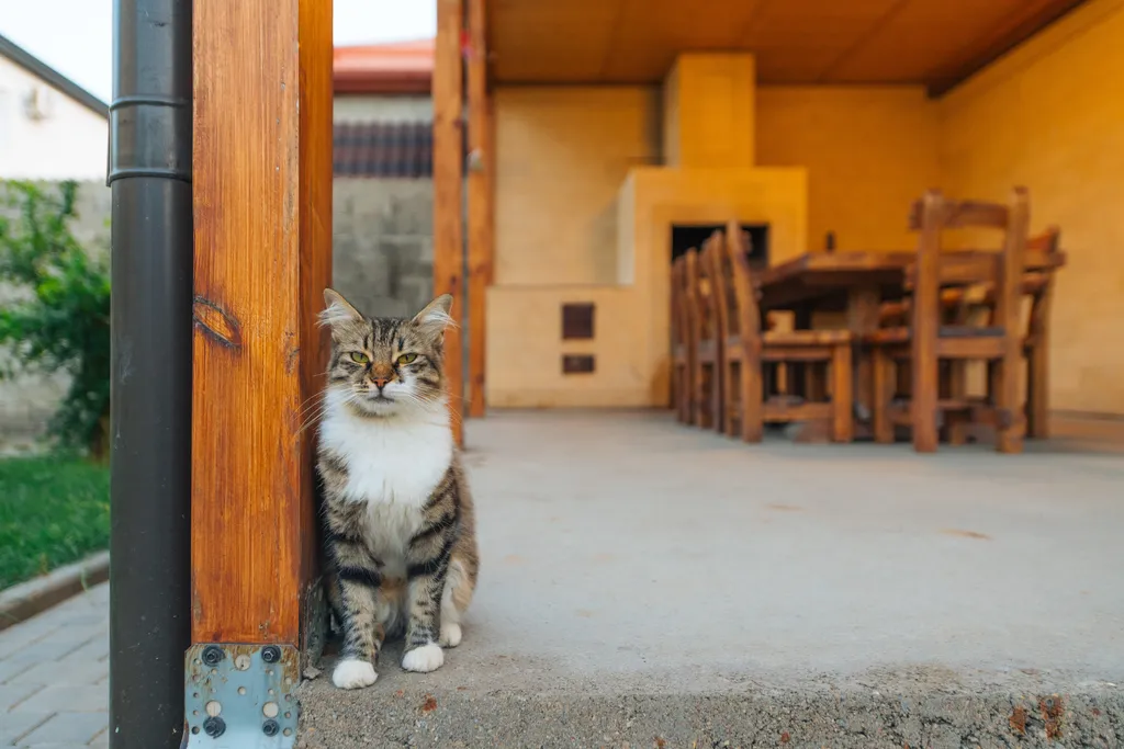 Коттедж Дом у моря с парной и бассейном — аренда посуточно в Каспийск