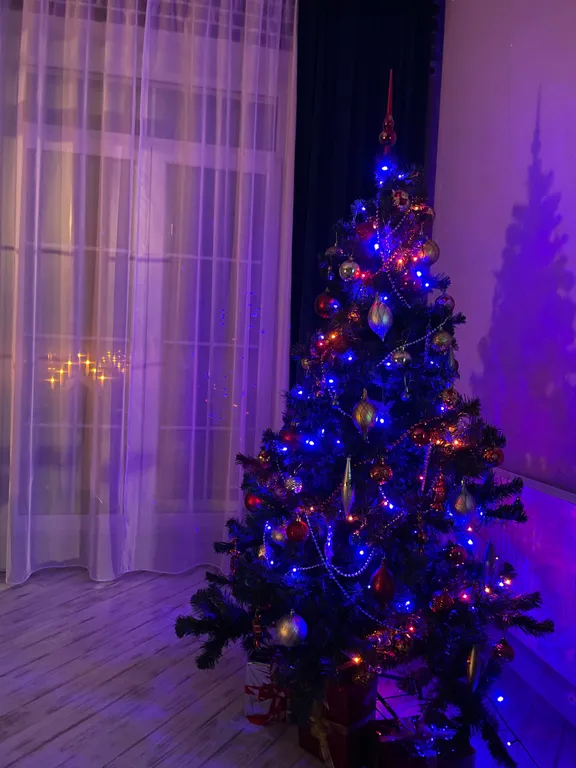 Квартира Квартира Раушен-Апарт — Светлогорск