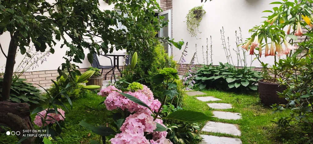 Студия в тенистом саду