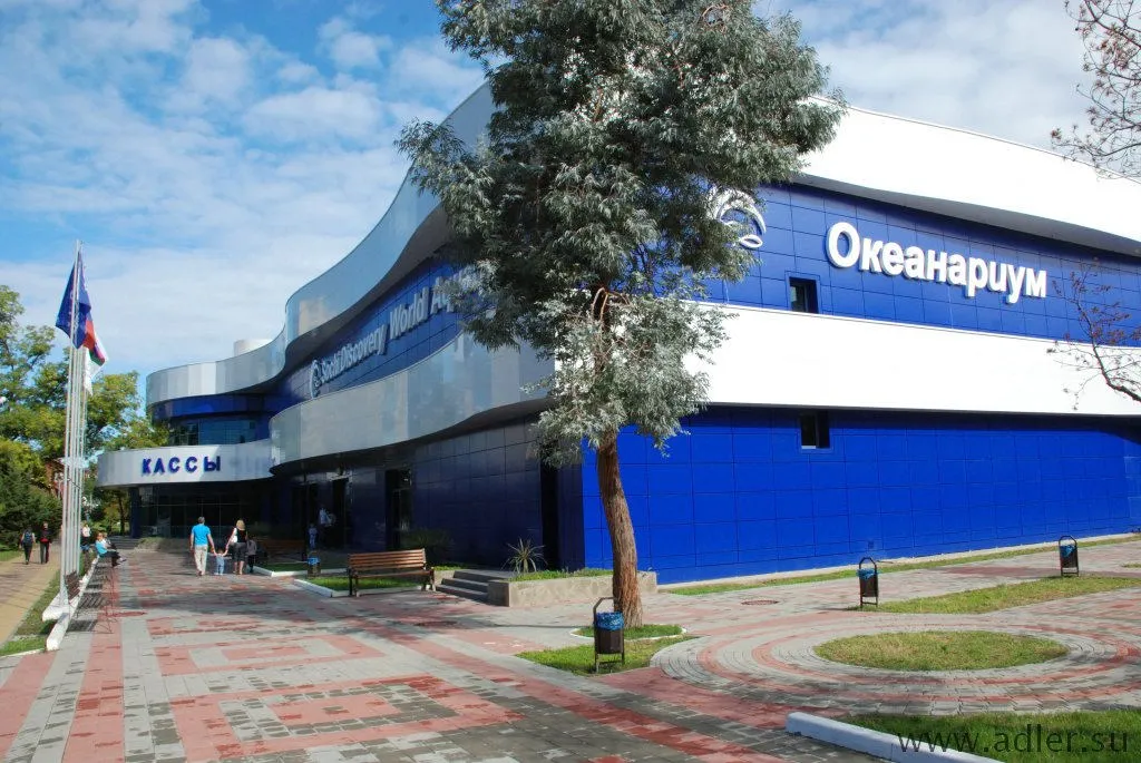 Квартира 1-комнатная Квартира — Адлер