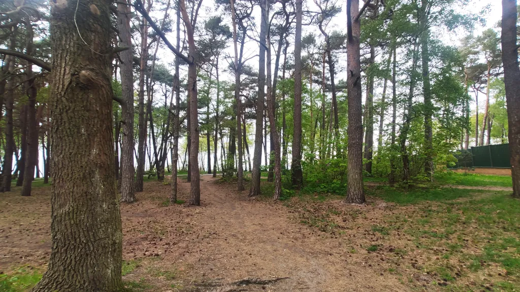 Квартира в городе Пионерском в 100 метрах от городского пляжа