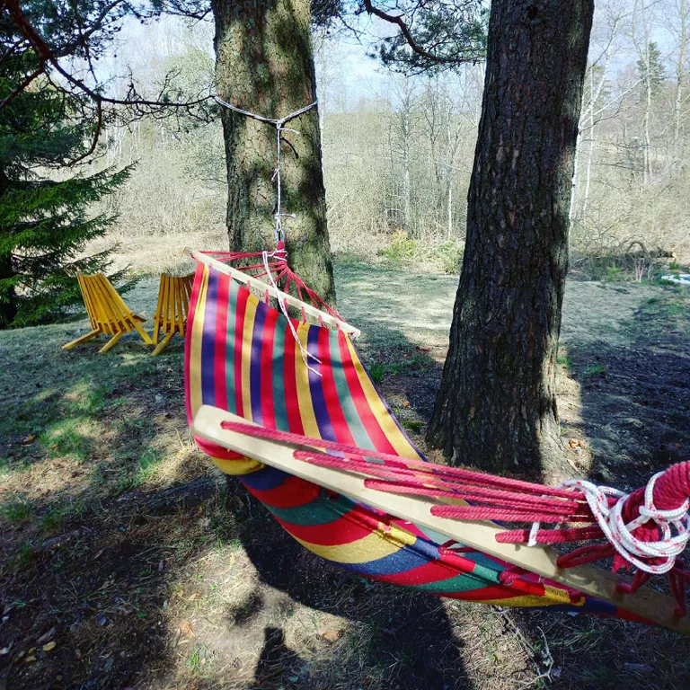 Дом под соснами