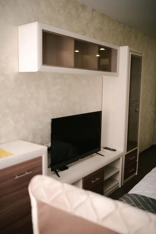 Уютные апартаменты в центре Бреста