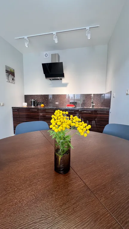 Апартаменты с видом на Онежское озеро