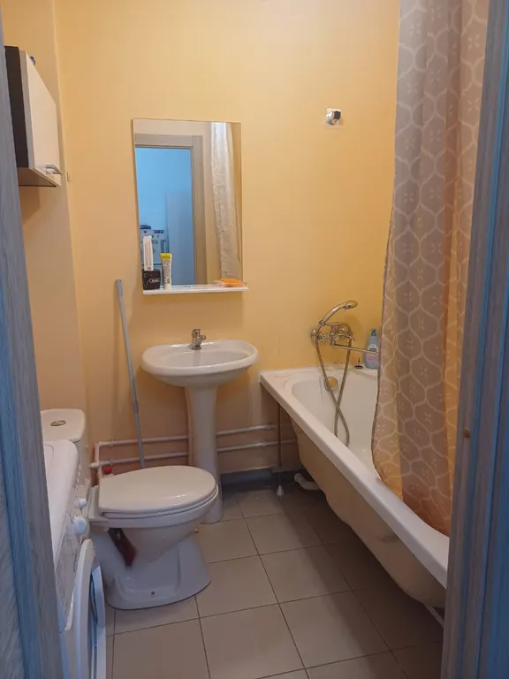 Уютные апартаменты в центре академа