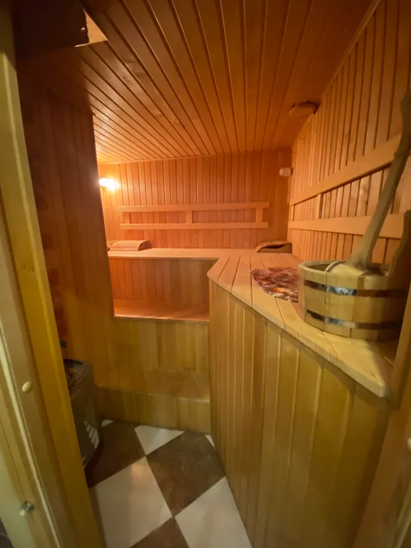 Дом с сауной с гималайской солью