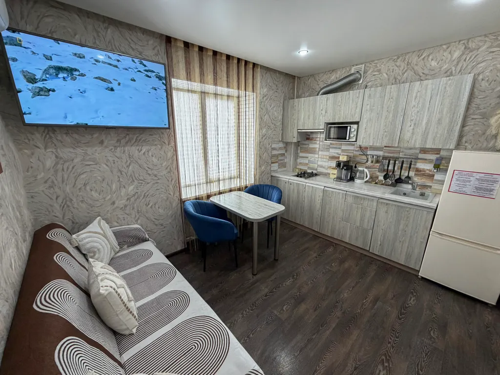 Vip-loft с джакузи, большая 1-комнатная квартира