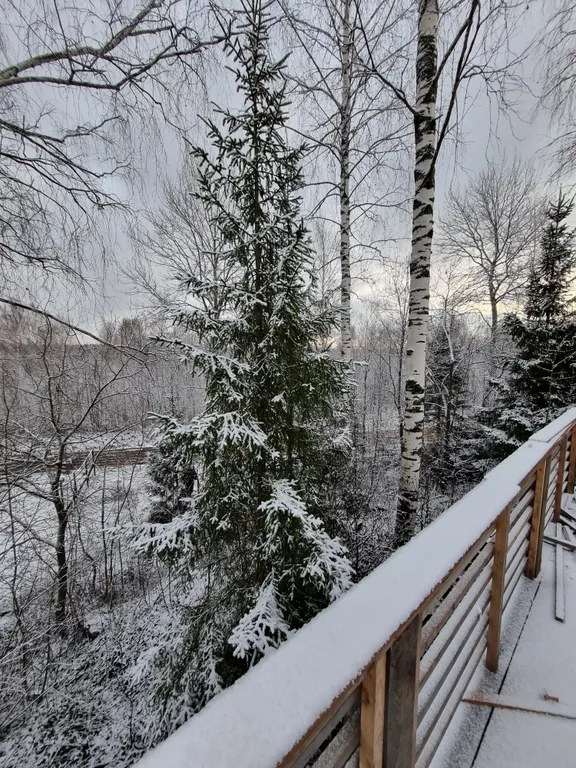 Новый гостевой дом на озере