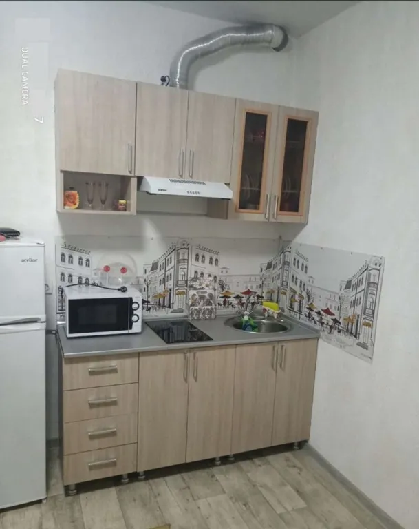 Квартира 1-комнатная Квартира — Сириус