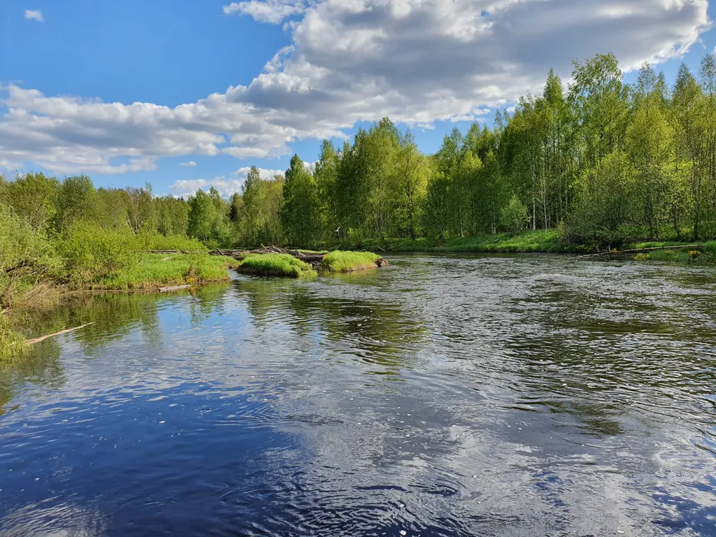 Коттедж Дом в Карелии — Деревянное
