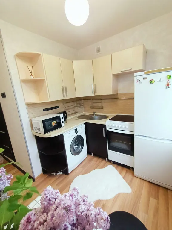 Квартира Квартира Уютный апартамент в Красноярске — Красноярск