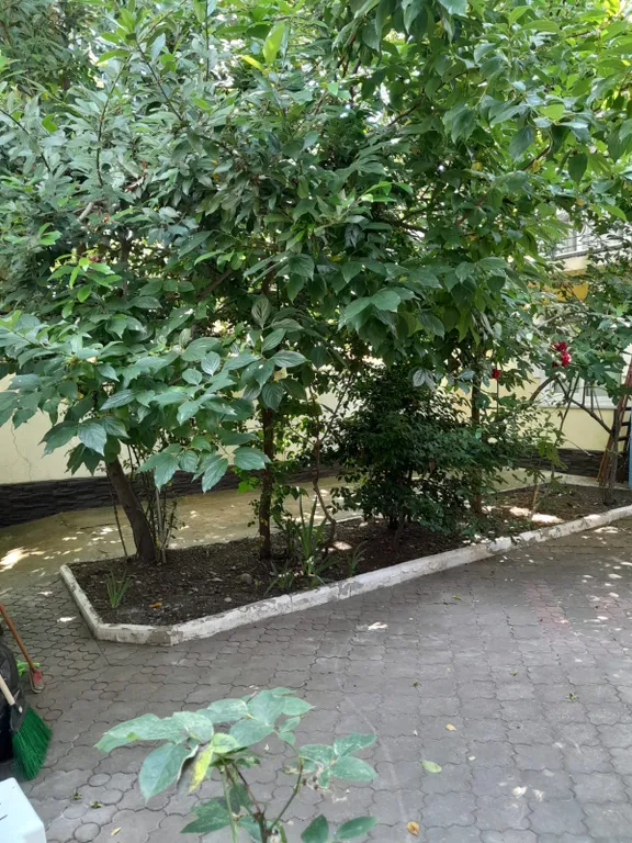 Номер с балконом во двор