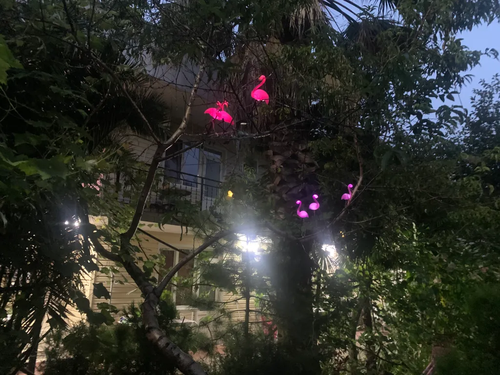 Квартира Комната — Адлер