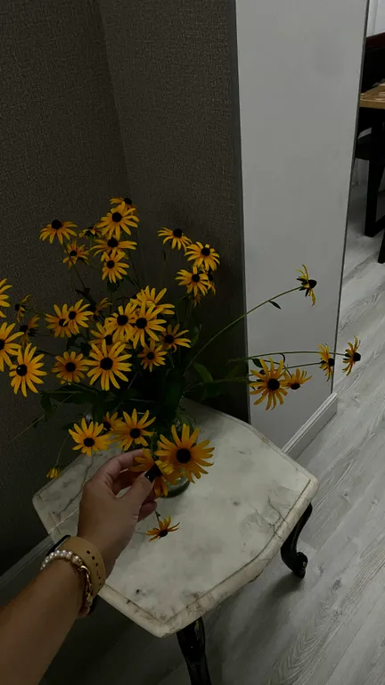 Квартира Квартира на берегу моря — Сухум