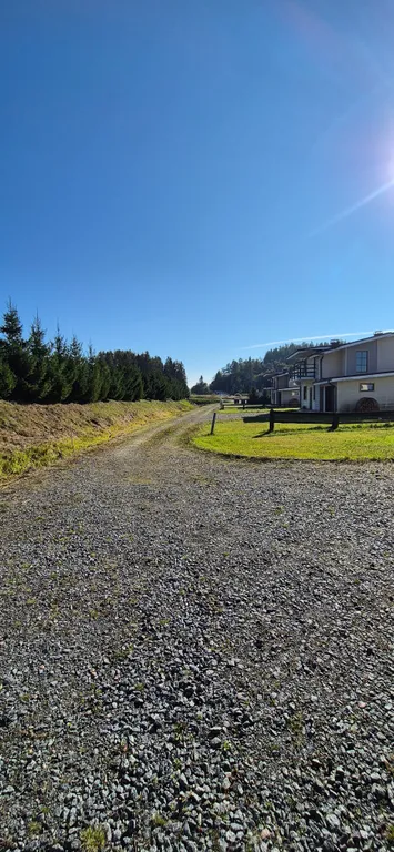 Куркиёки у леса