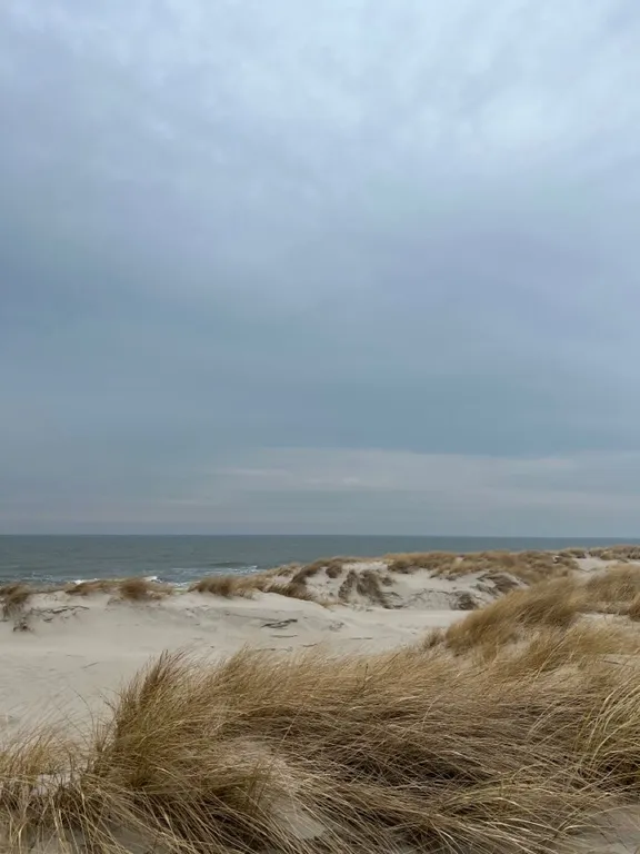 Апартаменты у моря