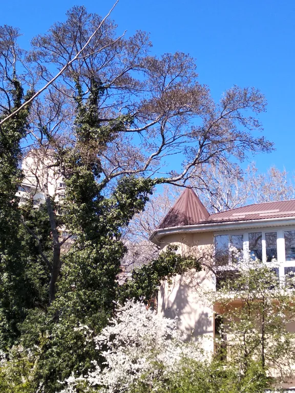 3-комнатный Дом