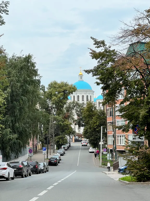 Живите у стен Кремля