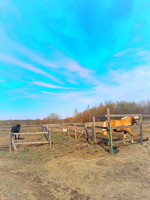 Загородный Дом