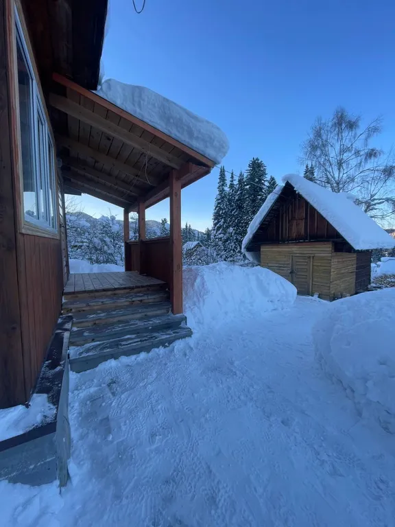 Тихое и спокойное местечко - Кедровый рай