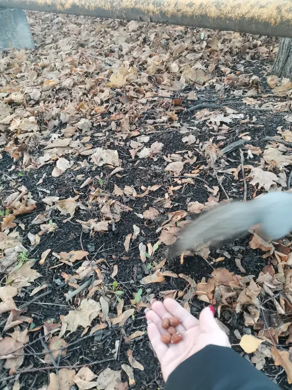 Квартира Уютная 1-комнатная квартира в 15 минутах езды от Волги — Самара