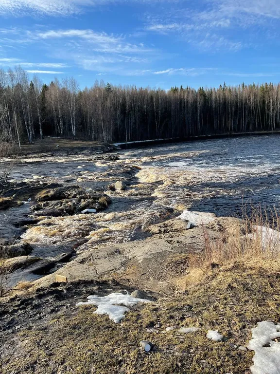Карельская Дача Уютное шале с камином в сосновом бору, берег Сямозера