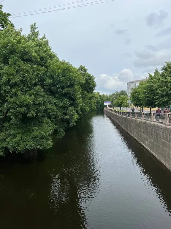 Квартира в центре Васильевского