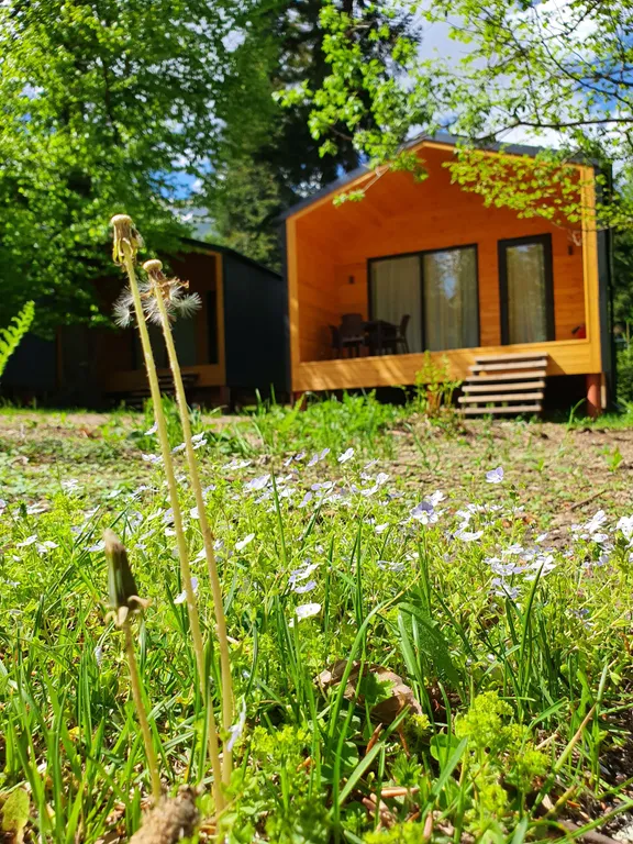 Коттедж Коттедж Шале в лесу — Архыз