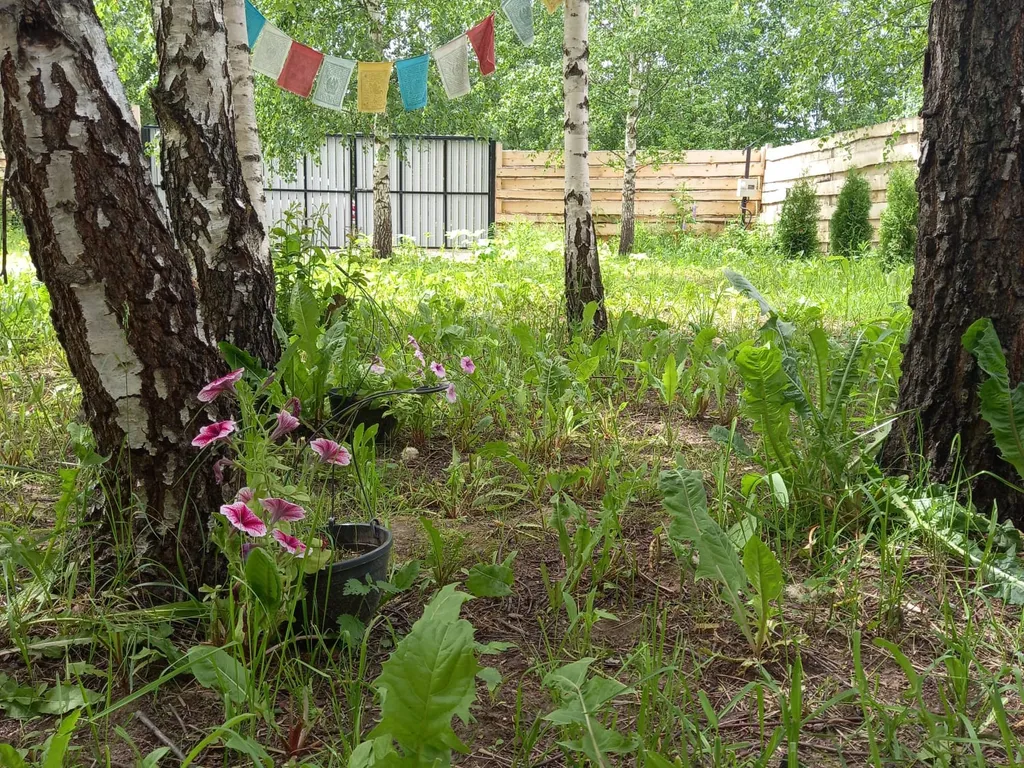 Уютный треугольный домик