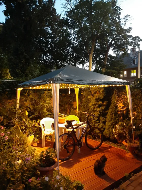 Гостевой домик Листья травы в исторической части города