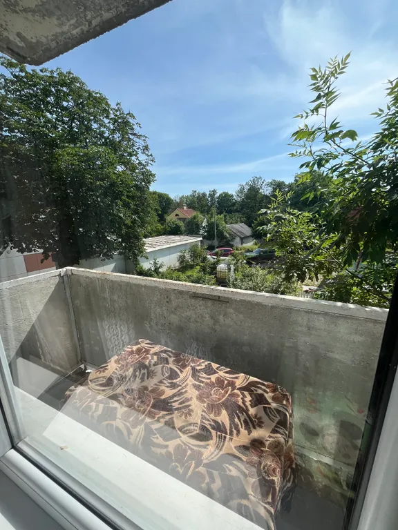 Квартира Просторная квартира недалеко от моря — Зеленоградск