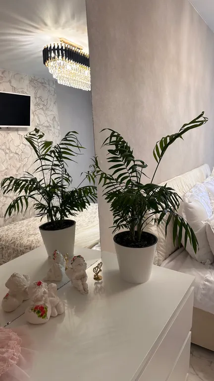 Квартира Уютная и светлая квартира с невероятной энергетикой — Омск