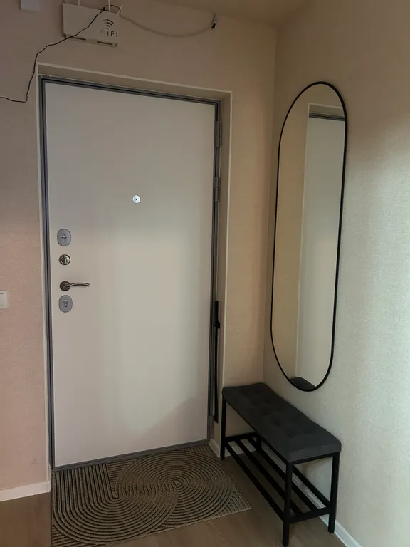 Квартира Атмосферная квартира Лина — Янино-1