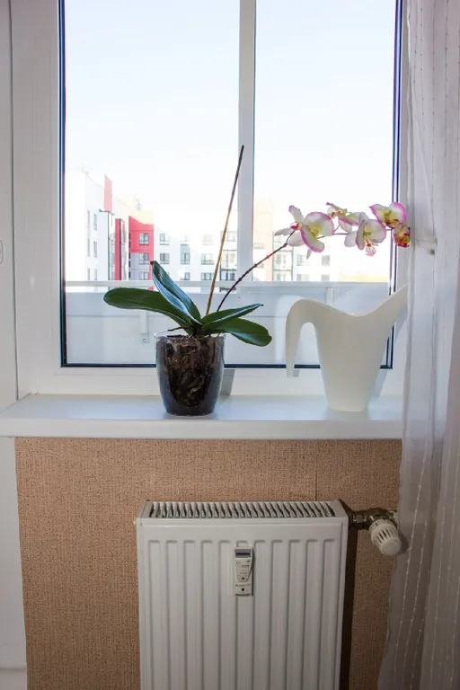 Уютная однокомнатная квартира в Ивушках