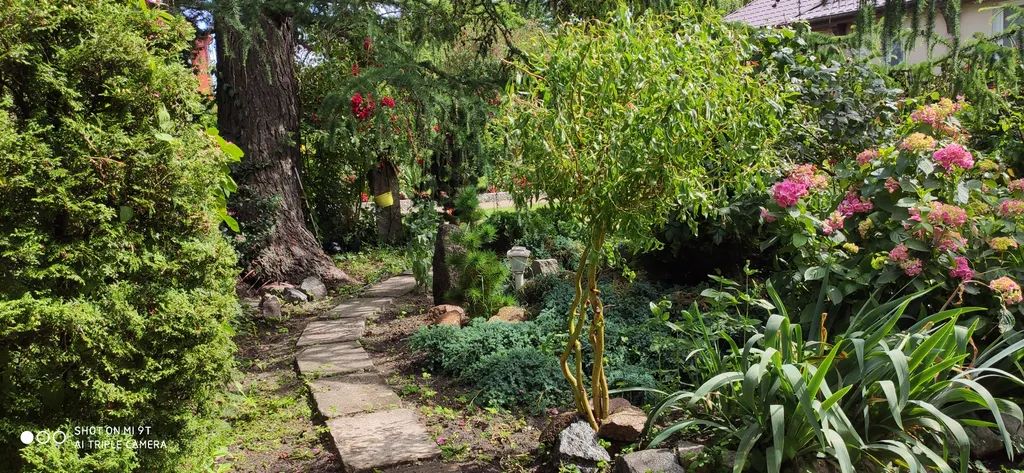 Уютная двухуровневая студия